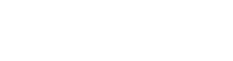 The Singleton